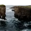 Whale-Watching Orkney Islands: Following Giants Through Moving Seas